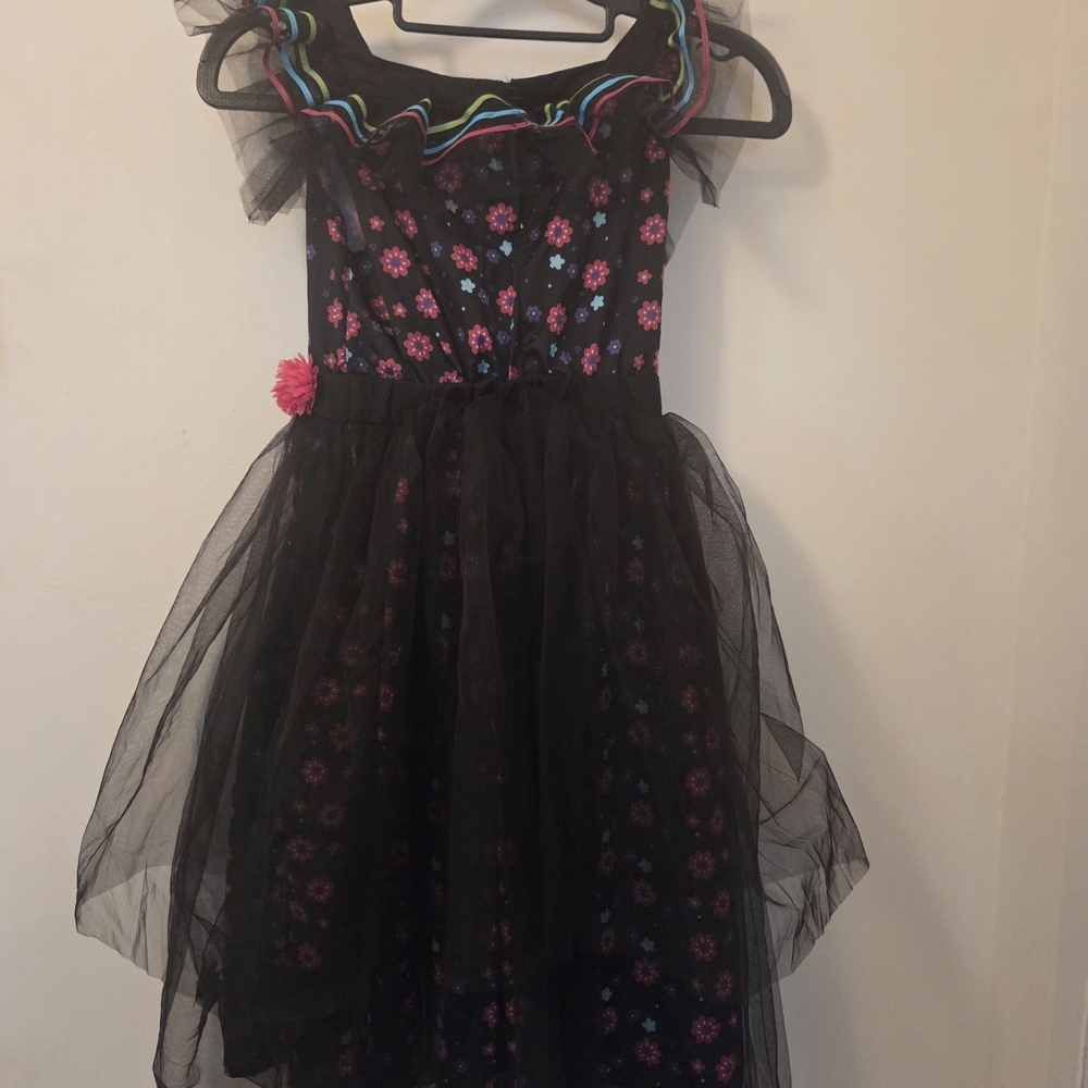 Zara Black Floral Tulle Costume with Pink and Blue Accents